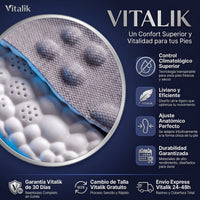 Plantillas Nube Vitalik